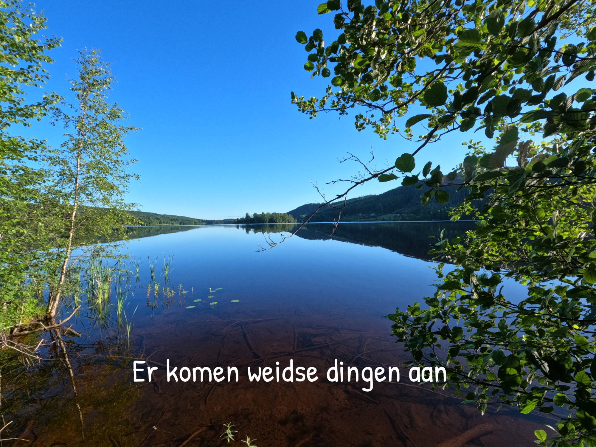 Er komen weidse dingen aan